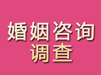 淄川婚姻咨询调查